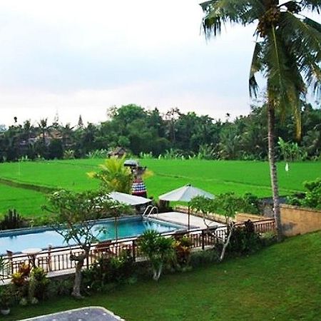 Nyoman Karsa Bungalow อูบุด ภายนอก รูปภาพ